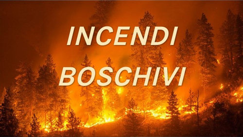 Dichiarazione STATO DI MASSIMA PERICOLOSITA' PER INCENDI BOSCHIVI su tutto il territorio regionale del Piemonte